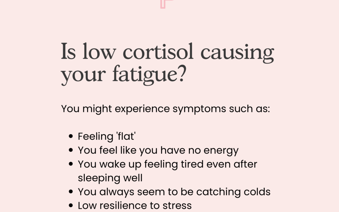 Is Low Cortisol Causing Your Fatigue?