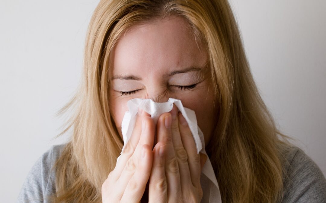 Always Catching Every Bug? How to Support Your Immune System